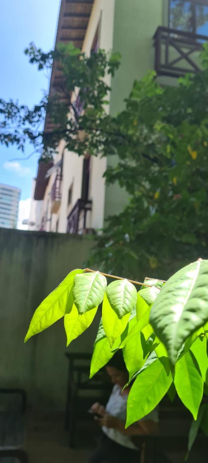 Hotel Pedra Da Concha Salvador da Bahia Dış mekan fotoğraf